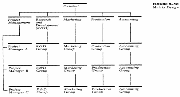 unilever organizational structure