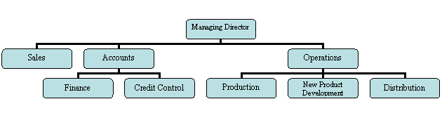 Organization Chart