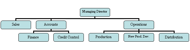 Organization Chart