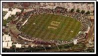 cricket1