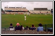 cricket2