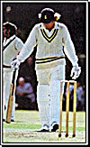 cricket3