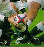 rugby