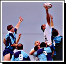 rugby