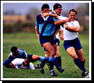 rugby
