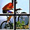 A Window on ... Mountain Biking