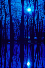 Reflection
