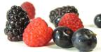 http://gracemagazine.files.wordpress.com/2007/10/berries2.gif