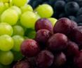 http://www.worldcommunitycookbook.org/season/guide/photos/grapes.jpg