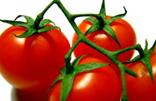 http://www.nutritionequalshealth.com/727665_cocktail_tomatos.jpg