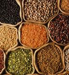 http://imagecache.allposters.com/images/pic/ARG/20692~Pulses-and-Grains-Posters.jpg