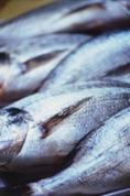 http://www.ukhairdressers.com/food%20for%20thought/oily_fish.jpg