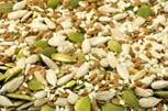 http://www.publicdomainpictures.net/pictures/1000/nahled/seeds.jpg
