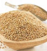 http://grains.bluebirdgrainfarms.com/graphics/00000001/emmerWholeGrain_med.jpg