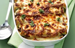 Beef cannelloni