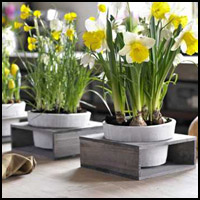 Table Accessories
